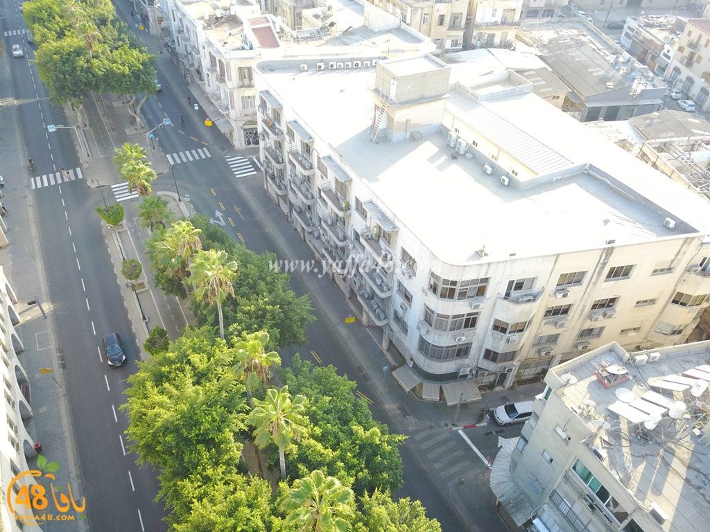 jamal basha tsterre (44).JPG